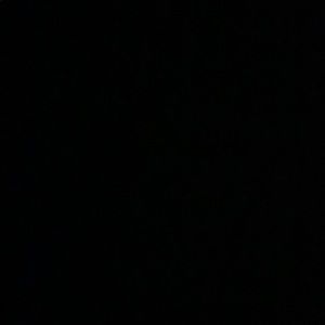 Meet your Posher, Gio